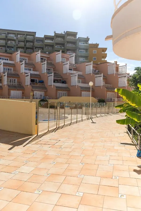 Apartment Orlando Tenerife Sur Daisy And Mikey Costa Adeje  Spain