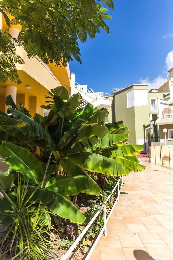 Apartment Orlando Tenerife Sur Daisy And Mikey Costa Adeje  0*, Costa Adeje (Tenerife)