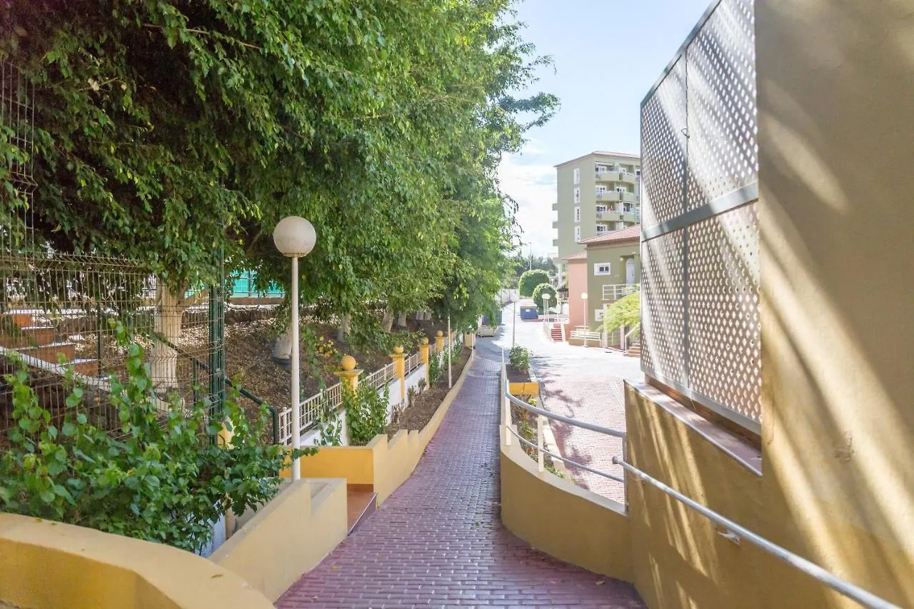 Apartment Orlando Tenerife Sur Daisy And Mikey Costa Adeje  Spain