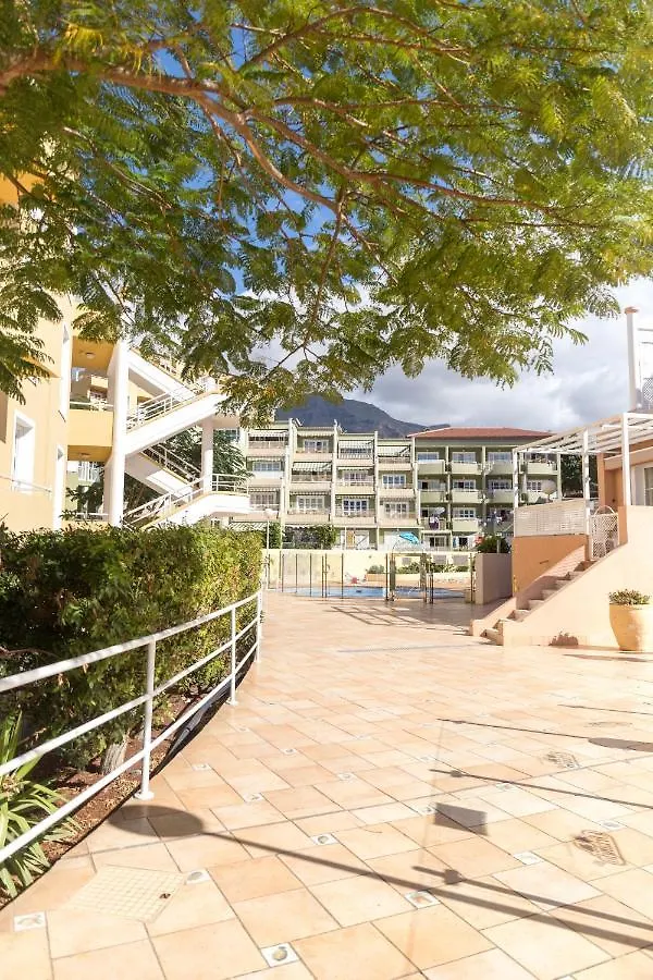 Apartment Orlando Tenerife Sur Daisy And Mikey Costa Adeje   Costa Adeje (Tenerife)