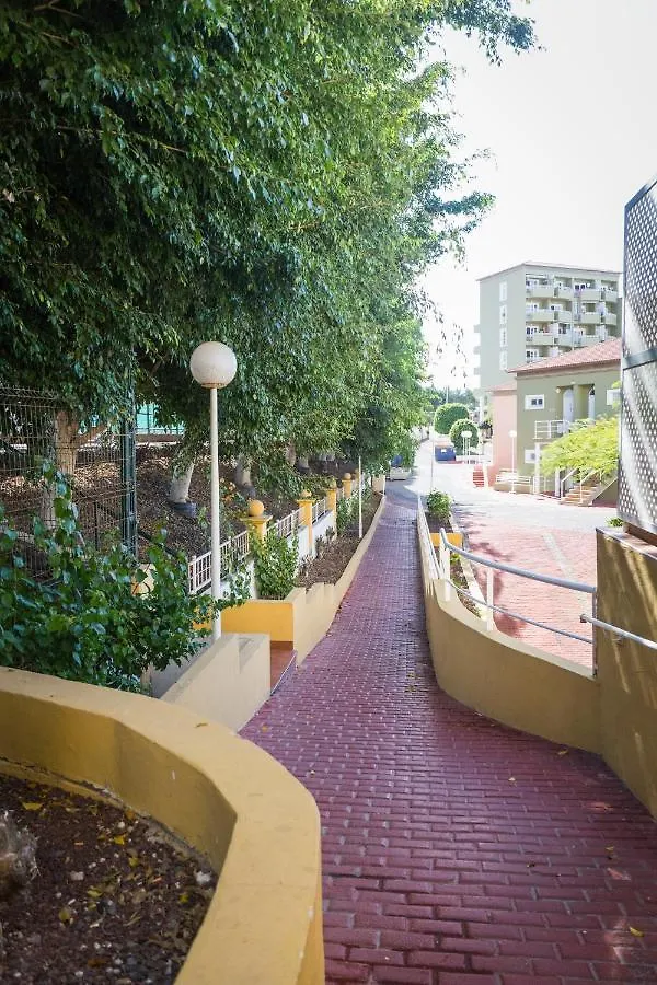Apartment Orlando Tenerife Sur Daisy And Mikey Costa Adeje